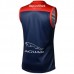 Melbourne Demons 2022 Mens Home Guernsey