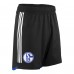 FC Schalke 04 Mens Alternative Shorts 2023-24