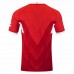 VfB Stuttgart Mens Away Jersey 24-25