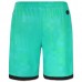 VfB Stuttgart Mens Green Goalkeeper Shorts 2022-23