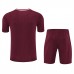 Bayern Munich Adult Terrace Icons Kit 2025-26