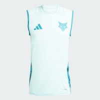 Cruzeiro Mens Training Tank Top 2025-26