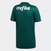 Palmeiras 2018 2019 Home Jersey