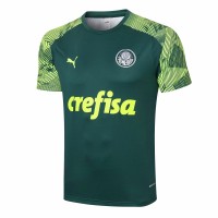 Palmeiras Training 2020 Jersey
