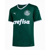 Palmeiras Home Jersey 2022-23