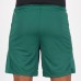 Palmeiras 2020 Away Soccer Shorts
