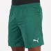 Palmeiras 2020 Away Soccer Shorts