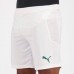 Palmeiras 2020 Home Soccer Shorts
