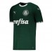 Palmeiras Home 2019 Jersey