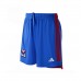 Olympique Lyonnais Men's Away Shorts 2023-24