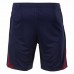 Paris Saint Germain Mens Training Short 2023-24