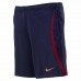 Paris Saint Germain Mens Training Short 2023-24