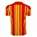 West Bromwich Albion FC Third Jersey 2020 2021