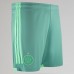 Celtic Men's Third Shorts 23-24