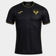 Hellas Verona Mens Third Jersey 24-25