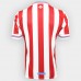 Chivas Retro 110 Years Jersey