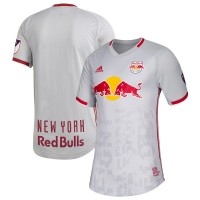 Men's New York Red Bulls Gray 2019 Primary Authentic Jersey