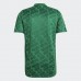 Algeria Away Jersey 2020 2021
