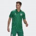 Algeria Away Jersey 2020 2021