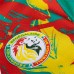 Senegal Mens Pre Match Jersey 25-26