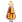 Deportes Tolima