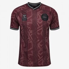 Denmark X Halo Mens Special Edition Jersey 24-25