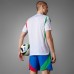 Italy Mens Away Authentic Jersey 24-25