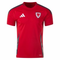 Wales Mens Home Jersey 24-25
